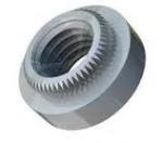 Stainless Steel 303 Self Clinching Nuts
